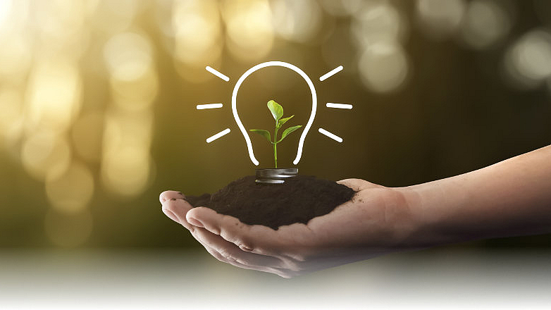 We focus on sustainability and responsibility An idea grows from a plant