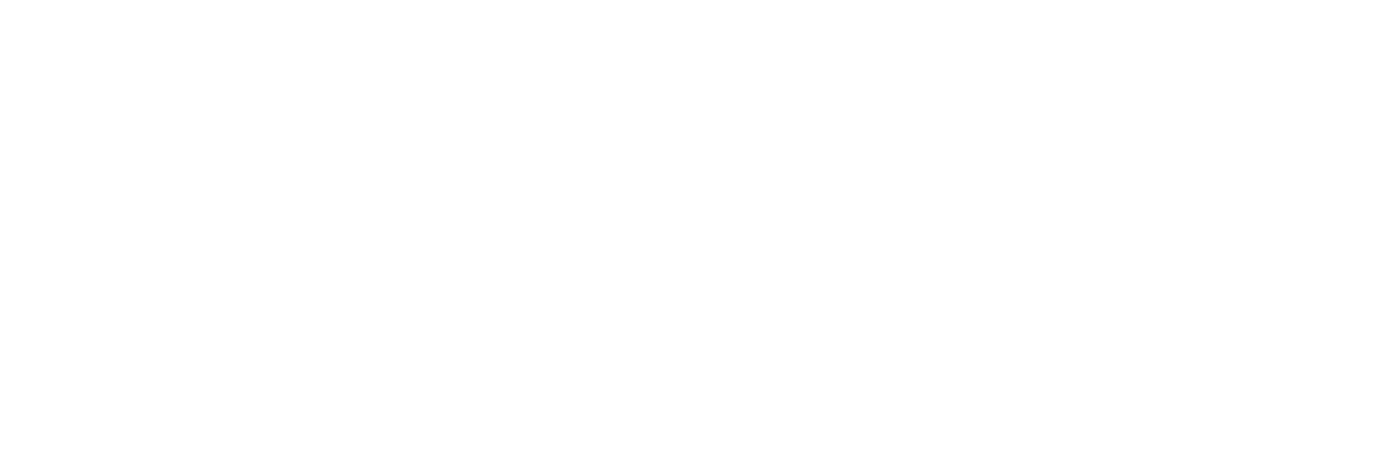 Logo LNIT Media.IT.Web