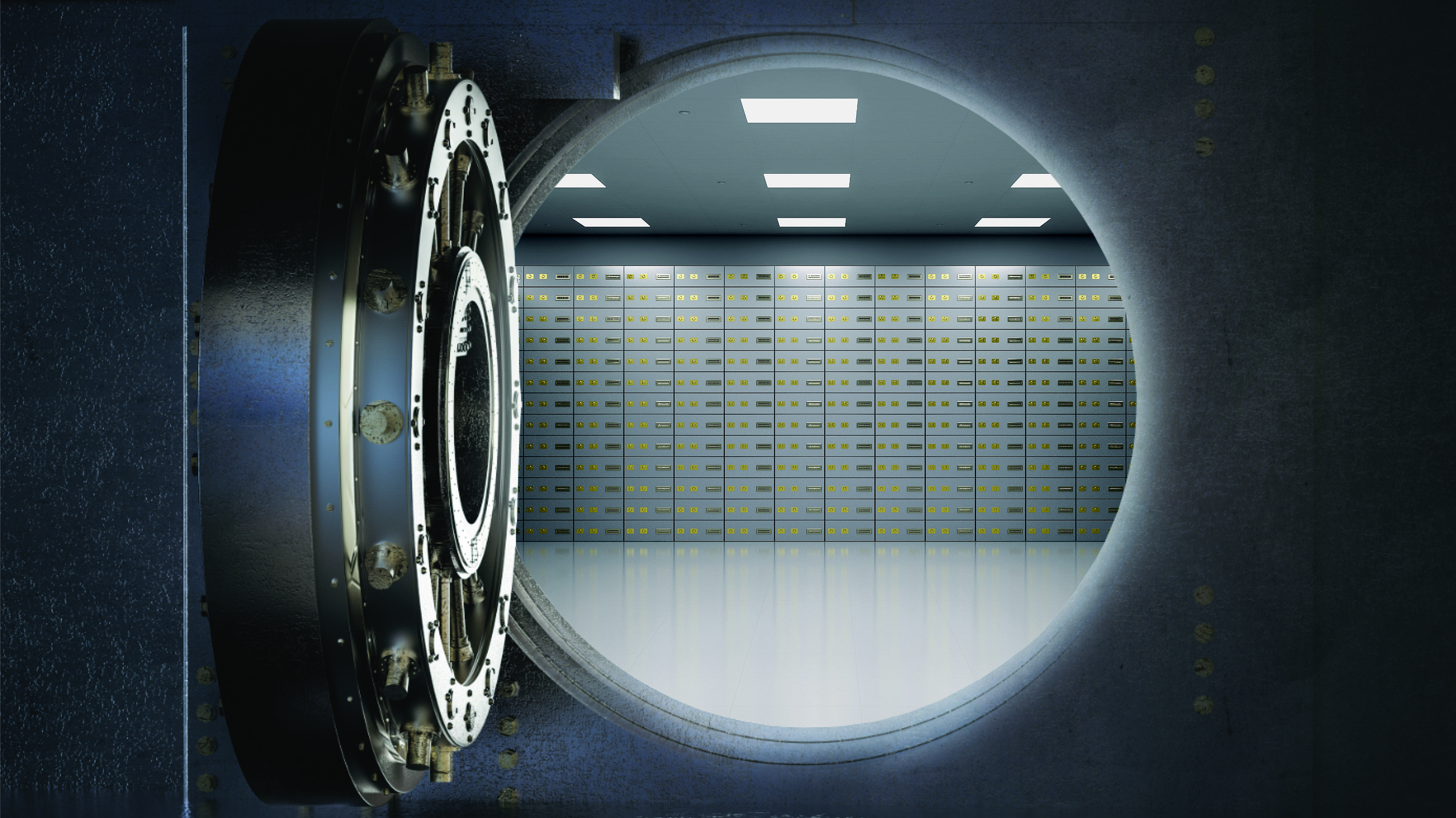 Open vault with many lockers