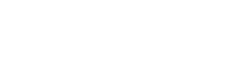 LNIT Media.IT.Web Logo LNIT Media.IT.Web